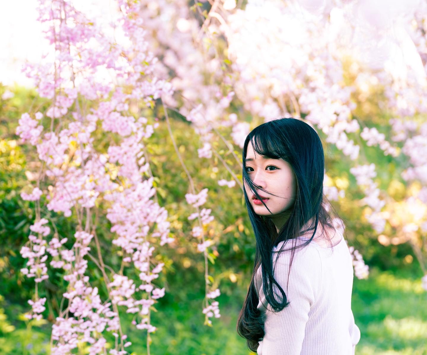 桜のころ