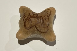 カメラを構えるコアラマーチ